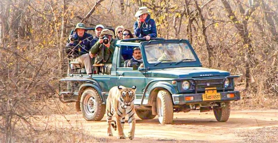 Jeep Safari Booking